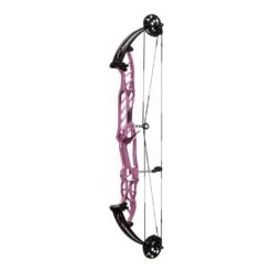 Hoyt Stratos 40 HBT Compound Bows 2024 -Archery World Shop 40hbtstardust 1