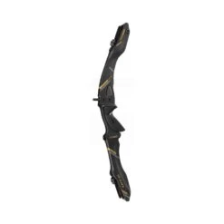Win & Win Wiawis TFT-G Recurve Riser -Archery World Shop tftgblackgold 2